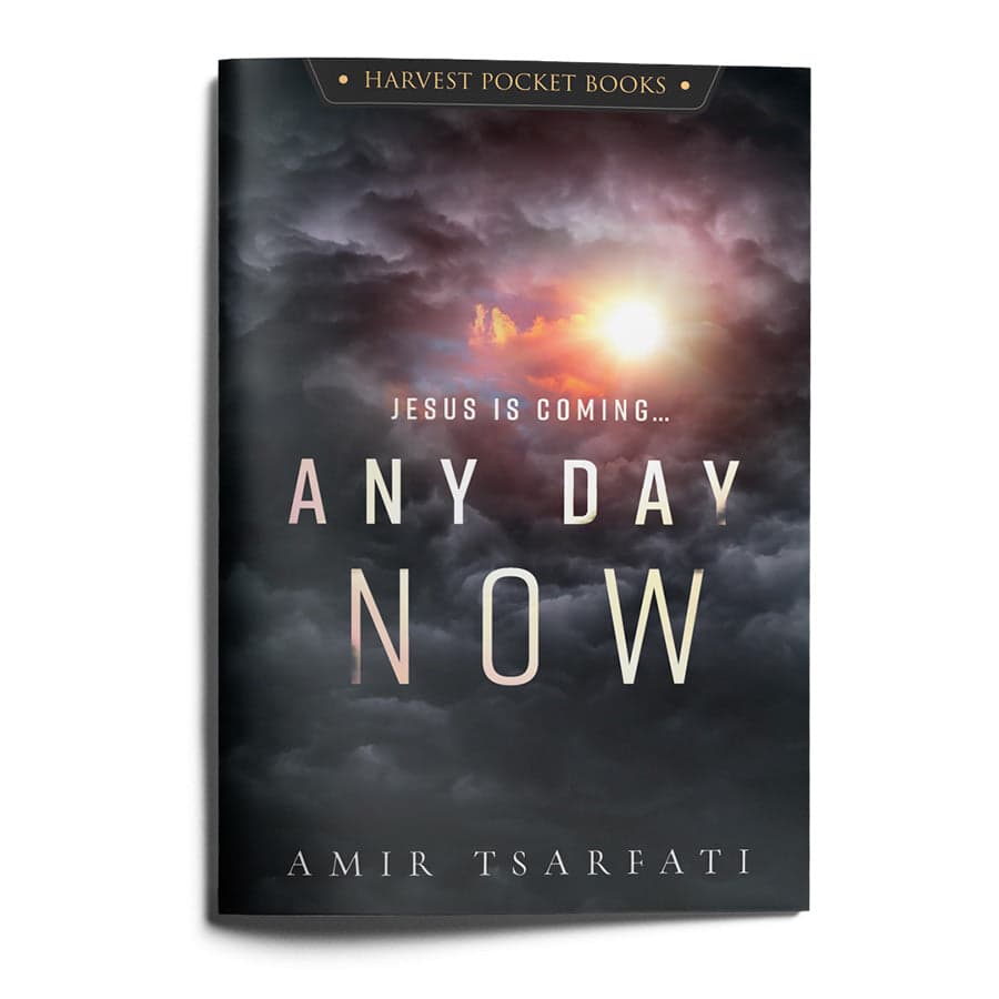 Any Day Now book cover